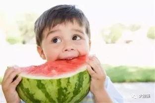 娱乐吃瓜酱幼崽
