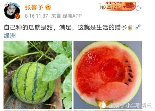 最近娱乐圈有什么瓜吃,明星秘闻大揭秘！