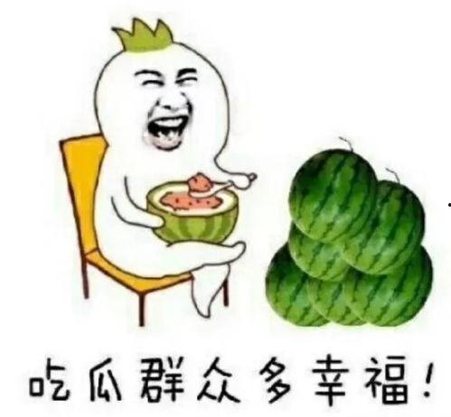 大娱乐吃瓜,大娱乐吃瓜，揭秘明星幕后故事