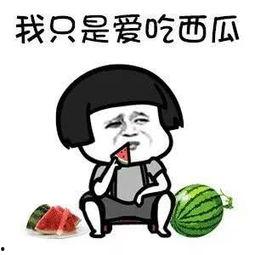 吃一口娱乐瓜